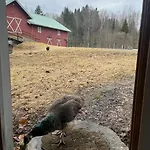 Gasthof Farm In Cozy At Vestre Kinn