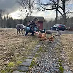 Farm In Cozy At Vestre Kinn Gasthof Orje