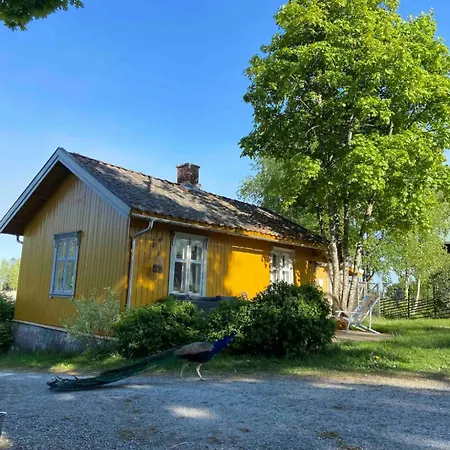 Farm In Cozy At Vestre Kinn *