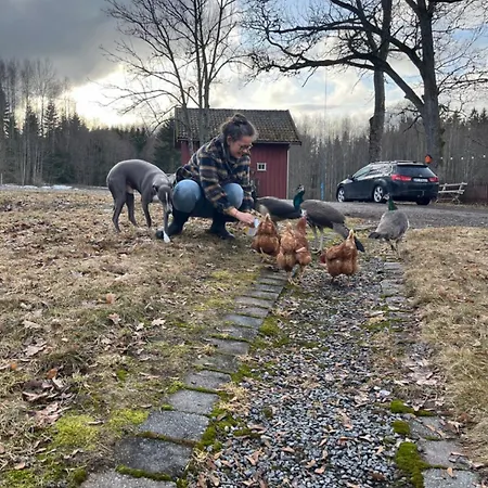 Farm In Cozy At Vestre Kinn Guest house Orje