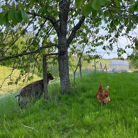 Farm In Cozy At Vestre Kinn 4*