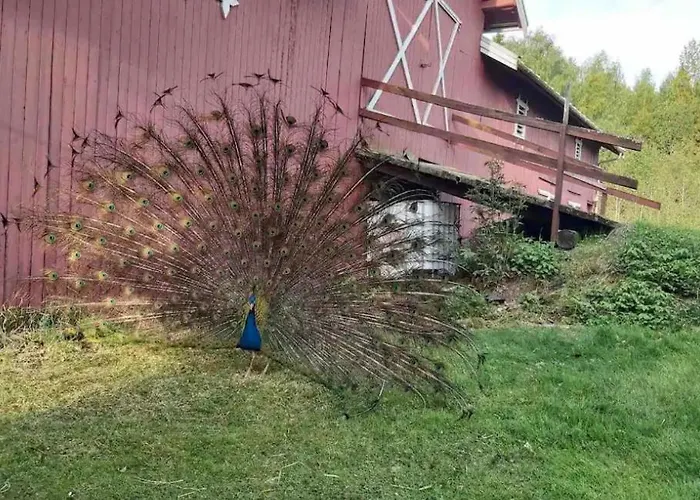 Farm In Cozy At Vestre Kinn Гостевой дом Orje