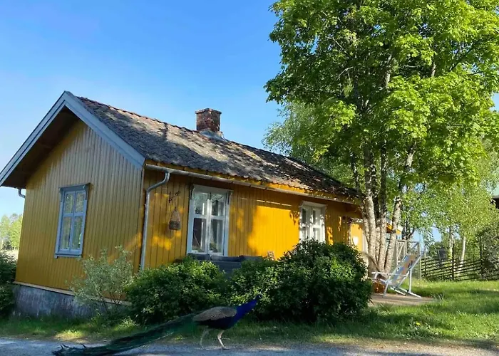 Farm In Cozy At Vestre Kinn 4*