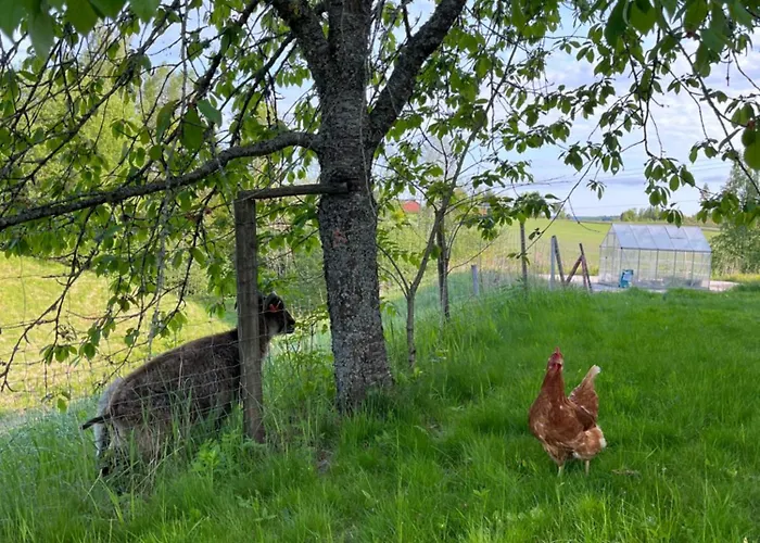 Farm In Cozy At Vestre Kinn 4*
