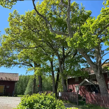 Pensionat Farm In Cozy At Vestre Kinn