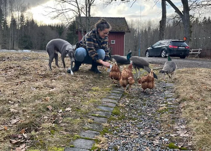 Farm In Cozy At Vestre Kinn Pensionat Orje